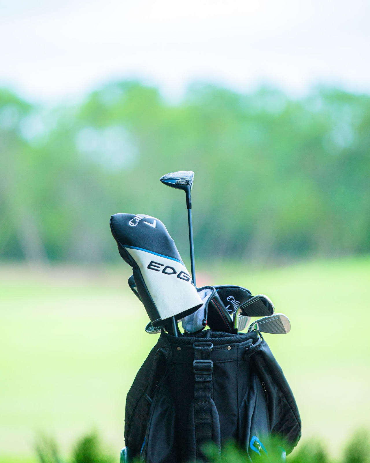 Golf clubs in a bag at a golf course