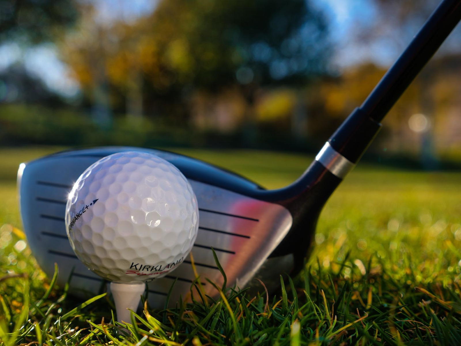 Golf club and ball close up on grass
